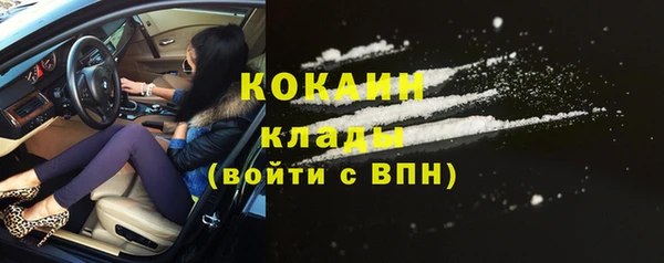 бошки Дмитриев