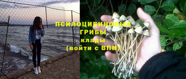 бошки Дмитриев