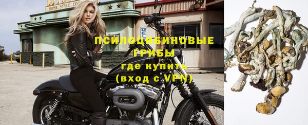 бошки Дмитриев