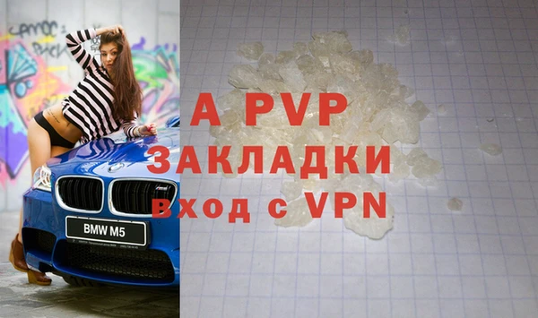 бошки Дмитриев