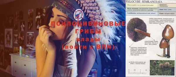 ешки Дмитровск