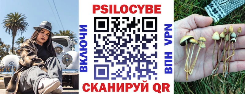 Галлюциногенные грибы Cubensis  Купить закладки  Гаврилов-Ям 