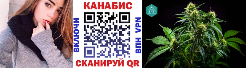 Конопля гибрид Гаврилов-Ям